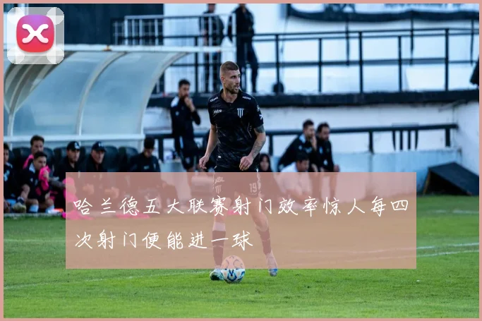 哈兰德五大联赛射门效率惊人每四次射门便能进一球