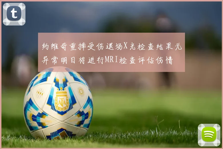 约维奇重摔受伤退场X光检查结果无异常明日将进行MRI检查评估伤情