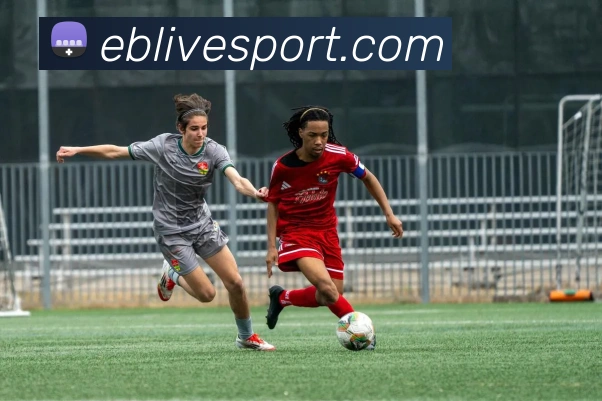 App Interface Preview