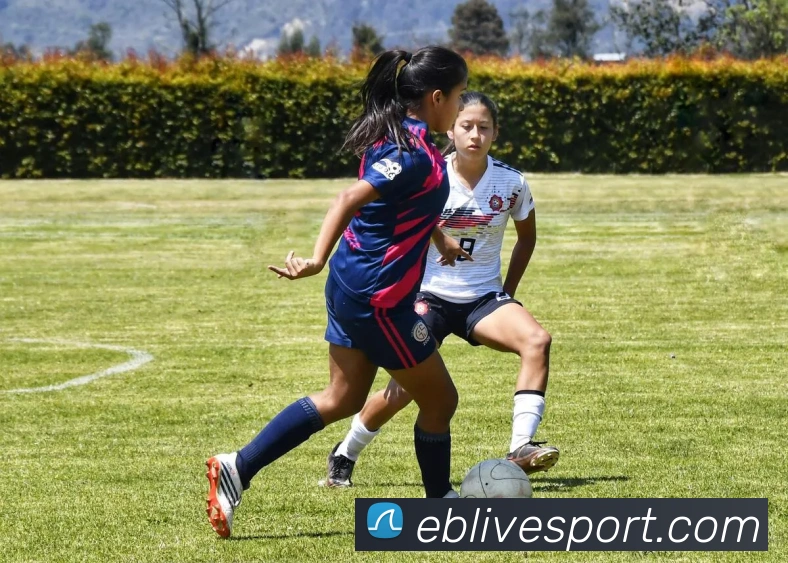 EBET易博APP 封面图