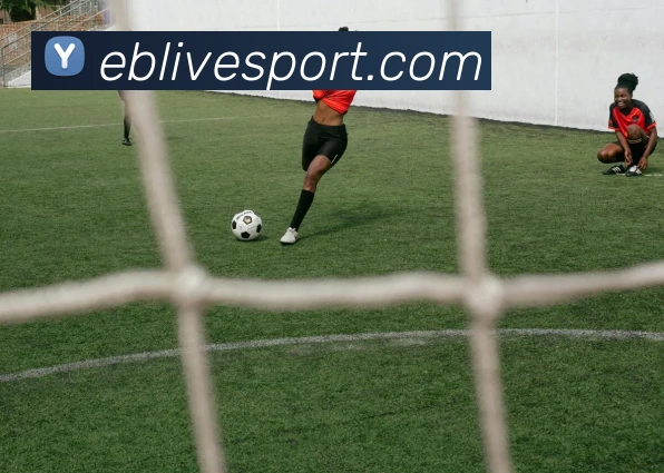 数据防护可视化